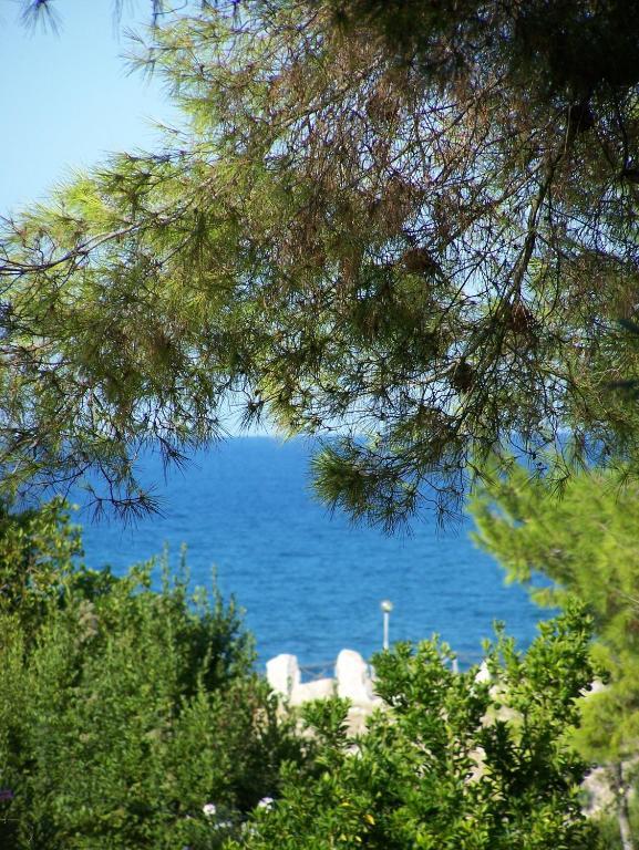 Tenuta Molino Di Mare- Ecoresort Con Villini Роди Гарганико Екстериор снимка