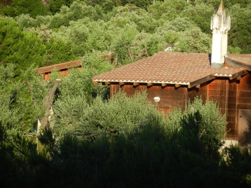 Tenuta Molino Di Mare- Ecoresort Con Villini Роди Гарганико Екстериор снимка
