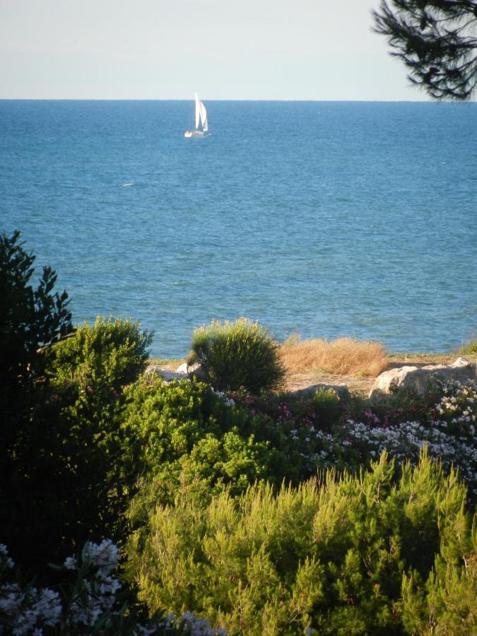 Tenuta Molino Di Mare- Ecoresort Con Villini Роди Гарганико Екстериор снимка